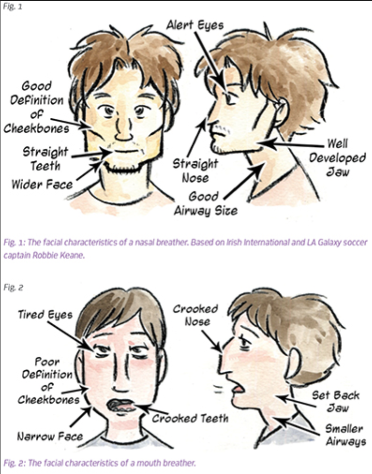 screen shot 2018 12 20 at 5.29.34 am